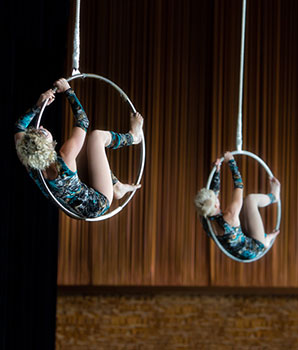 aerial hoops